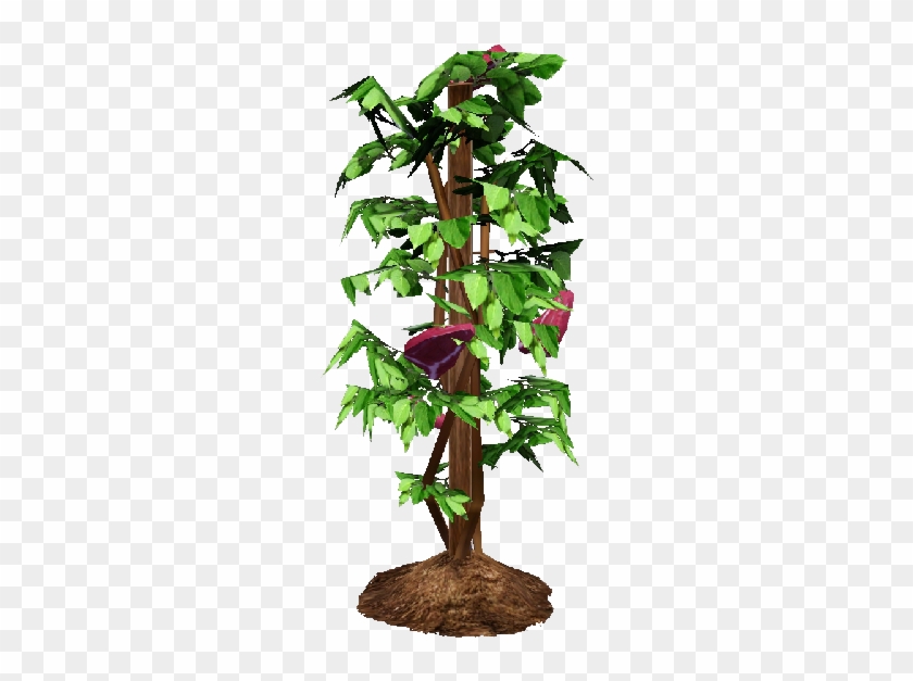 Tomato Plant Png - Houseplant Clipart #691175