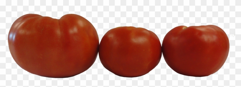 2014 Evaluation Of Determinate Tomato Varieties In - Red Deuce Tomato Results Clipart #691825