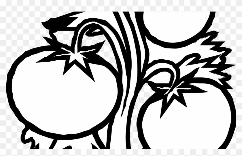 Collection Of Free Colouring Download On Ubisafe - Tomato Plant Black And White Clipart