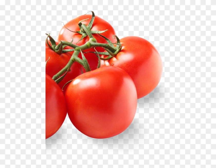 640 X 640 0 - Plum Tomato Clipart #692030