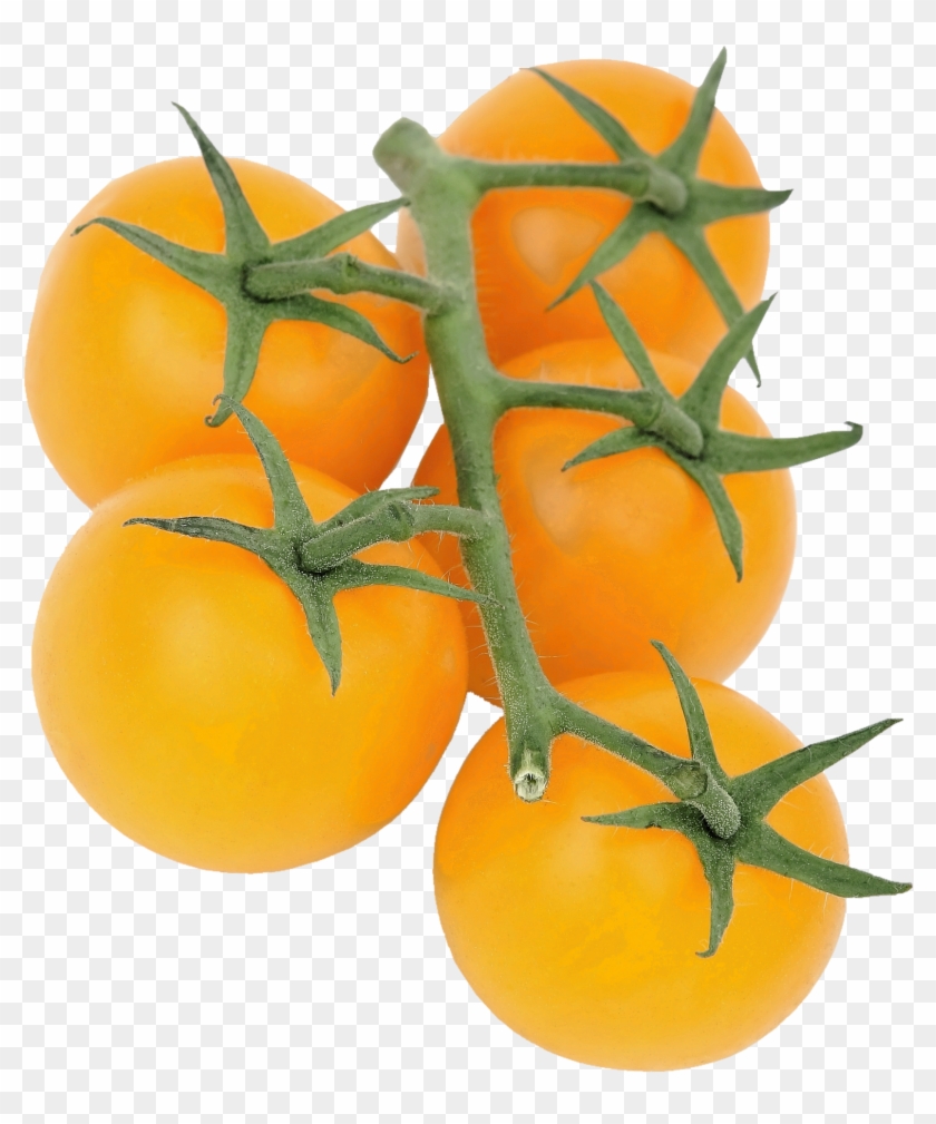Cherry Tomato Yellow Clipart