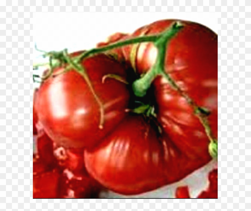 Morgtage Lifter Tomato Photo Source - Tomato Mortgage Lifter Clipart #692338
