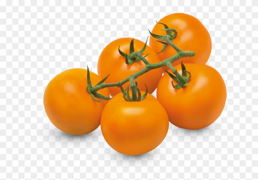 Orange Vine Tomatoes - Orange Tomatoes Png Clipart #692479