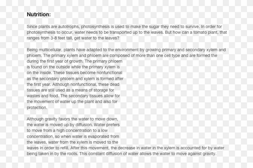 Since Plants Are Autotrophs, Photosynthesis Is Used - Adaptation Of Tomato Plant Clipart