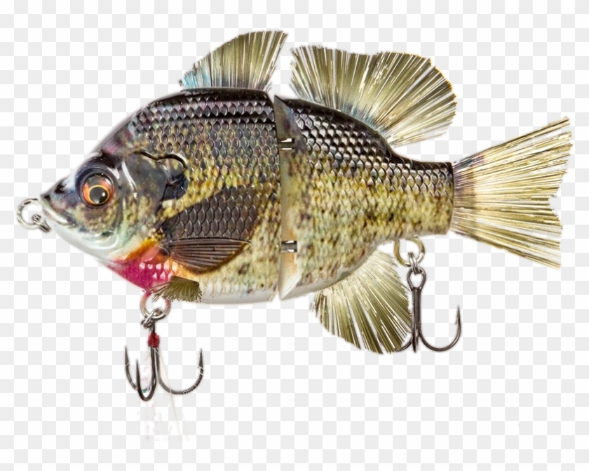 Images/redbg2 - Real Fish Lure Clipart