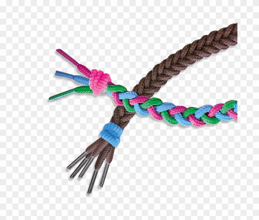 I Learn To Braid - Insect Clipart #694677