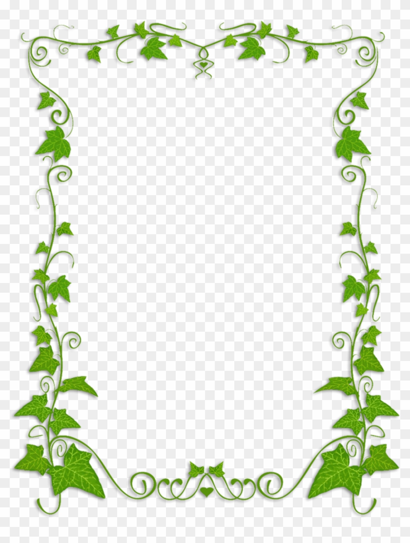 Common Ivy Plant Vine Clip Art - Png Download #695684