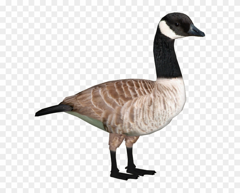 Goose Png Clipart #695712