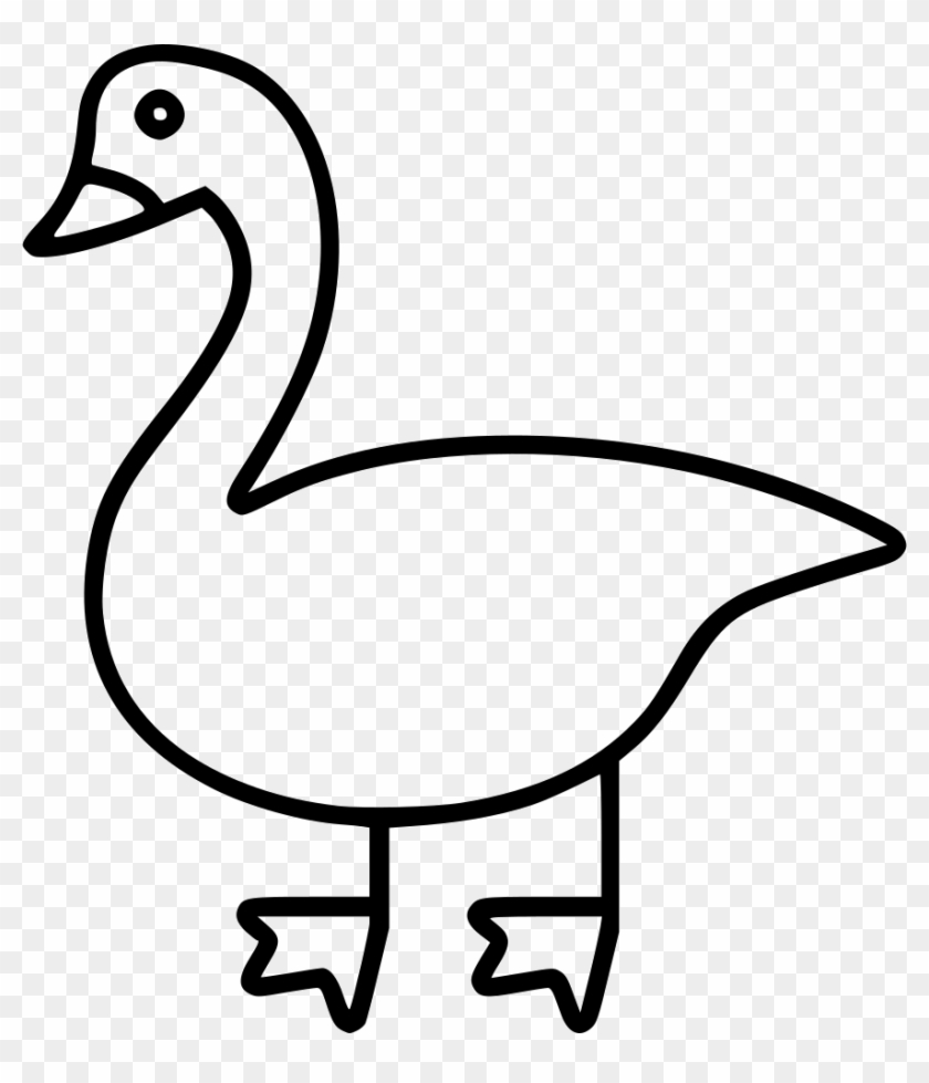 Png File Svg - Duck Clipart #696280