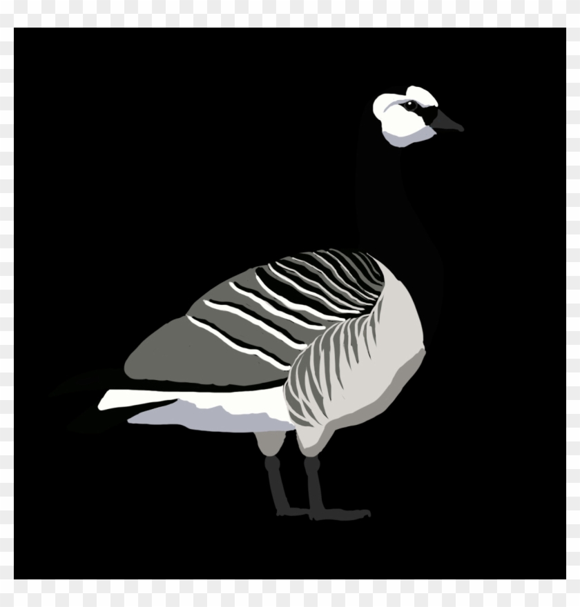 Barnacle Goose Png Clipart