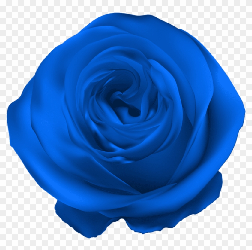 Free Png Download Blue Rose Png Png Images Background - Blue Rose Png Clipart #696833