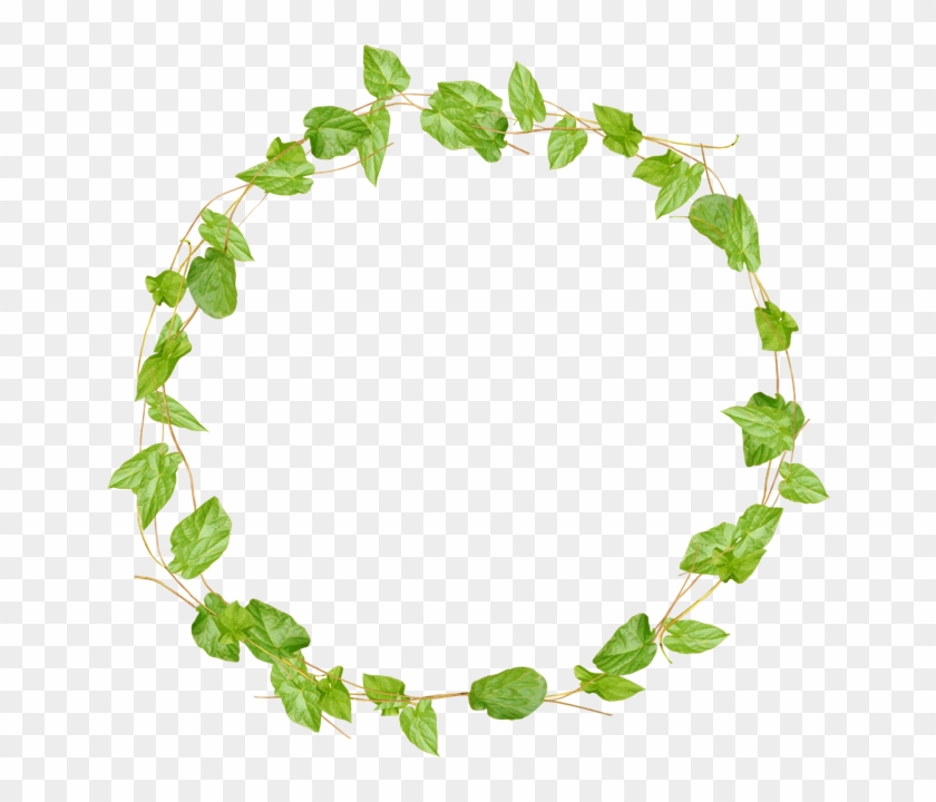 Vine Border, Vines, Photoshop, Frames, Charts, Green, - Cherries Ftu Cluster Png Clipart Vine Border, Vines, Photoshop, Frames, Charts, Green, - Cherries Ftu Cluster Png Clipart
