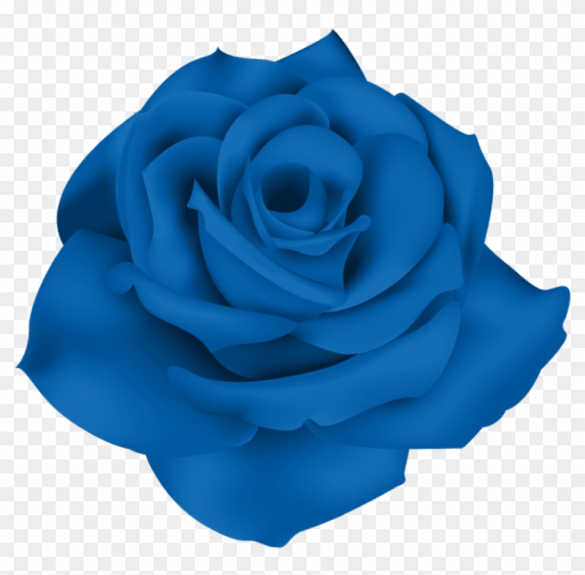 Free Png Download Single Blue Rose Png Images Background - Blue Rose No Background Clipart