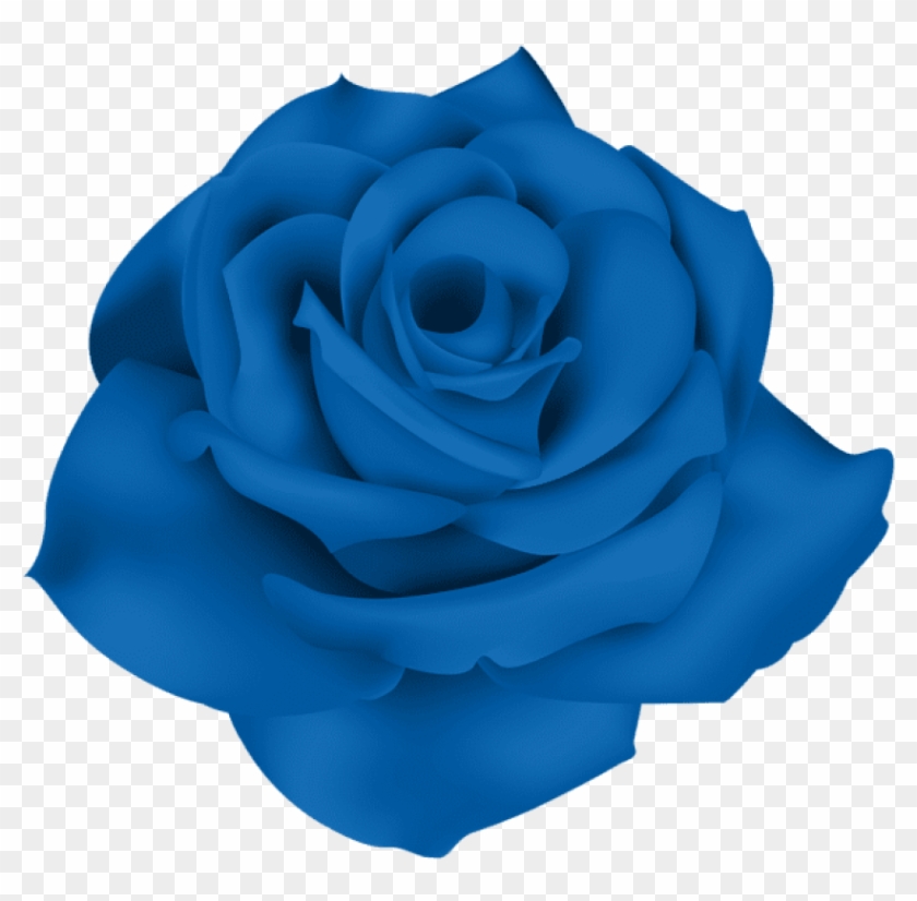 Free Png Download Single Blue Rose Png Images Background - Blue Rose No Background Clipart #696931