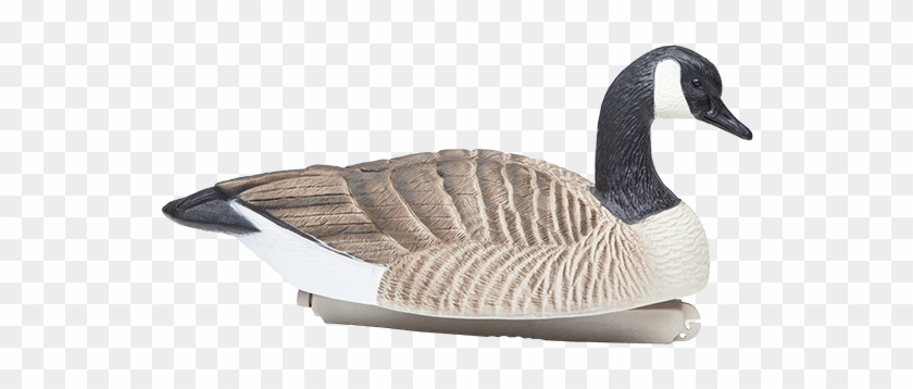 Final Approach 6 Goose Floating Decoys Model - Free Canada Geese Clipart - Png Download
