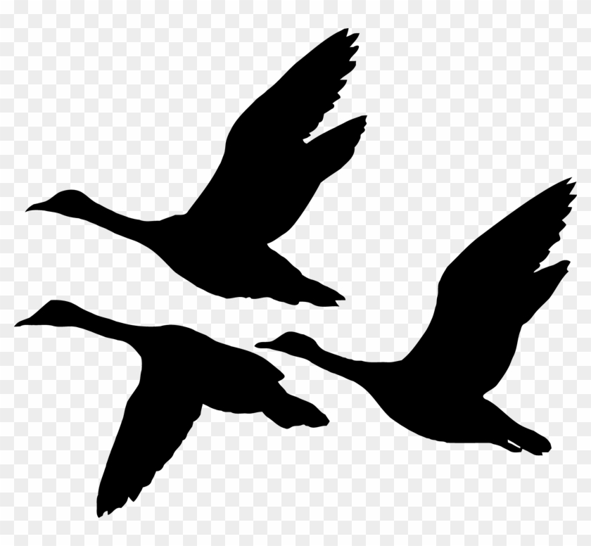 800 X 696 2 - Flying Geese Silhouette Clipart #697170
