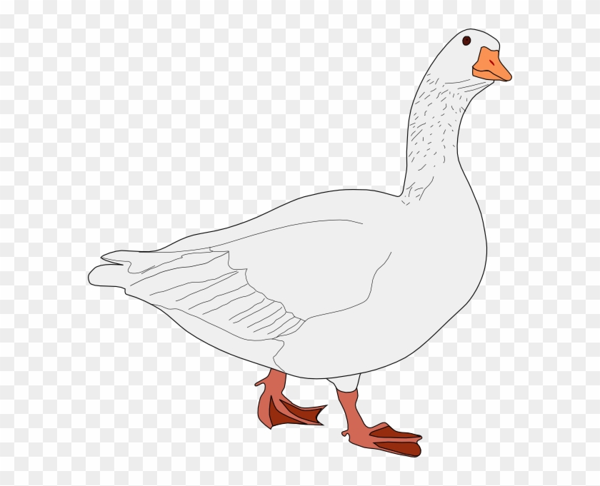 How To Set Use Goose Bird Svg Vector Clipart #697316