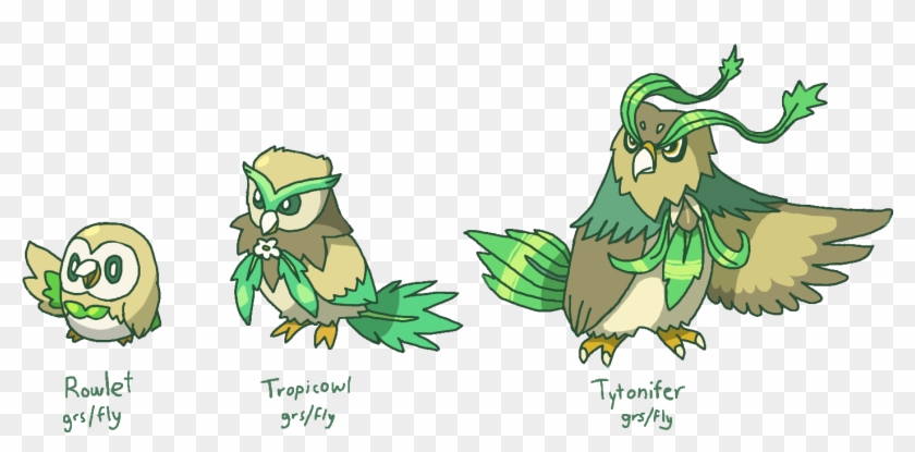 01 Rowlet Tropicowl Tytonifer - Decidueye Animal Clipart