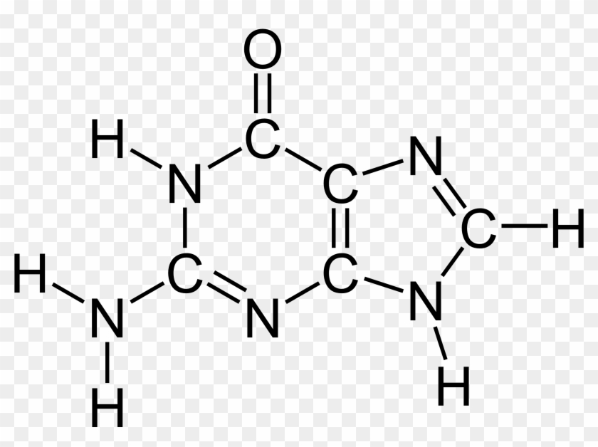 Guanine Chemical Structure 2 - Nucleic Acids Diagram Of Macromolecule Structure Clipart
