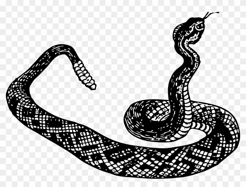 Black Mamba Clipart Open Mouth - Snake Clip Art - Png Download #698685