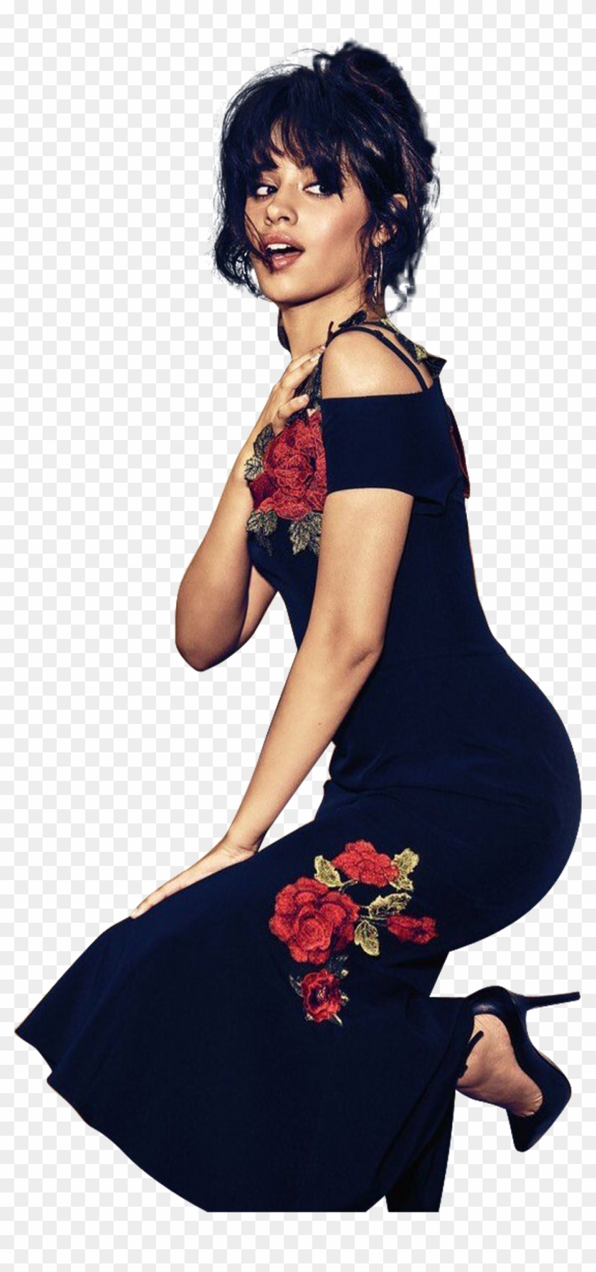 Camilacabello Sticker Clipart #698811