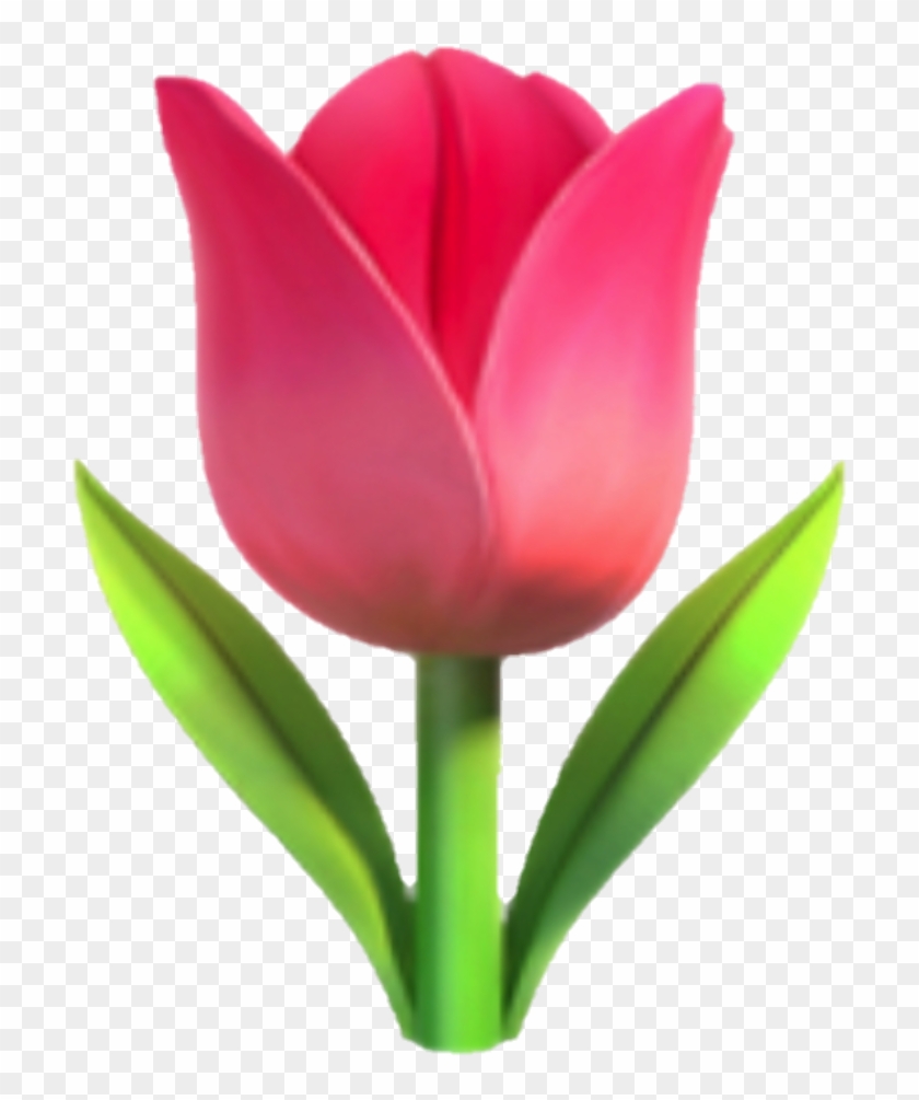 Emoji Sticker - 🌷 Emoji Clipart