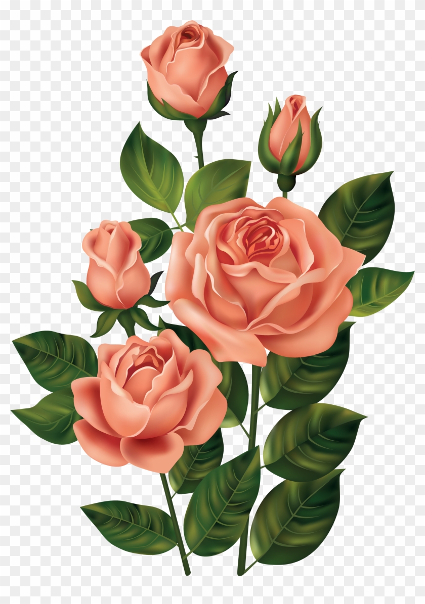 Rose Clipart Top - Roses Clipart - Png Download #699149