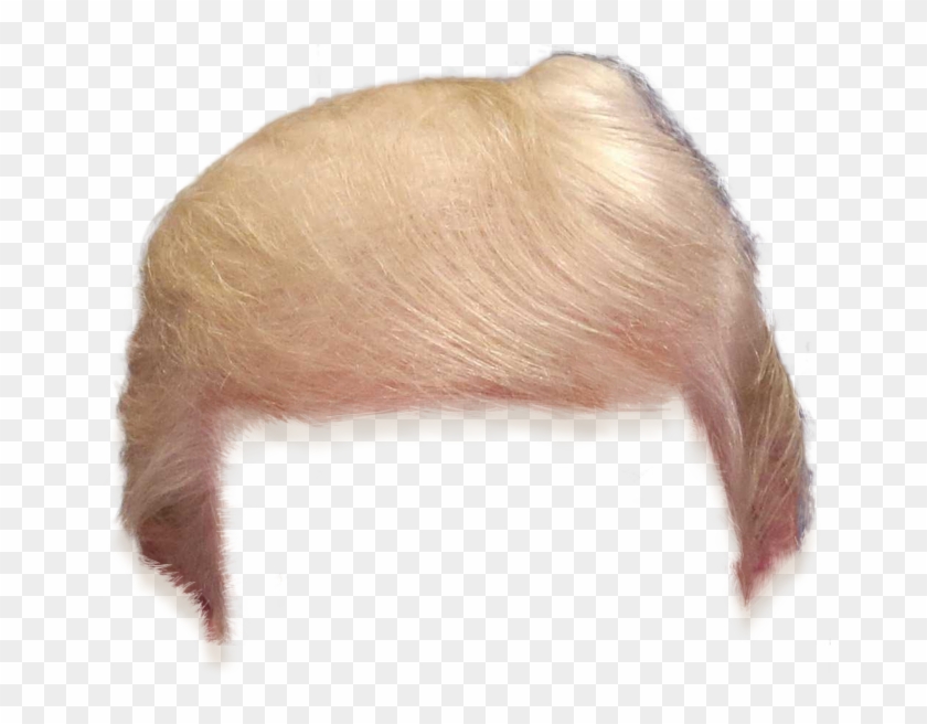 Camila Cabello - Donald Trump Hair Png Clipart