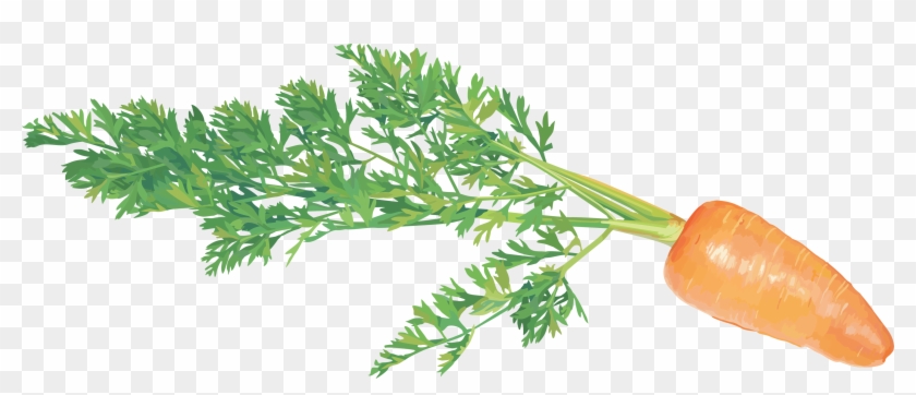 Vegetables Clip Art - Png Download