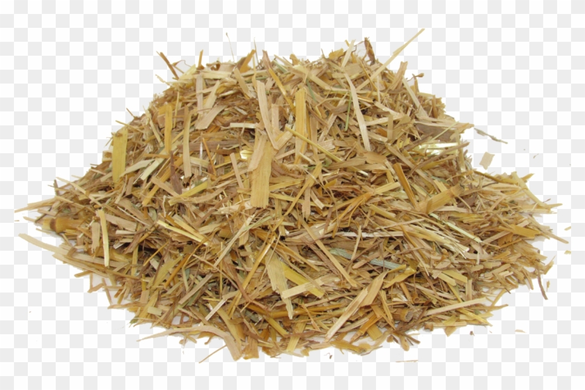 Carrots Png Chopped Clipart #70965