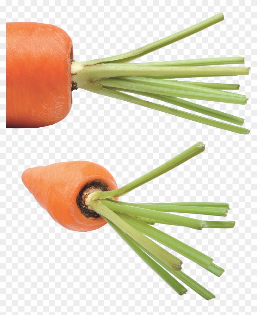 Carrot Png Image - Carrot Clipart #71036