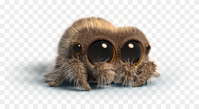 'lucas The Spider' Is Getting Official Merch, Cementing - Lucas The Spider Dad Clipart #71057