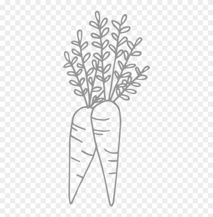 Carrots - Line Art Clipart #71196