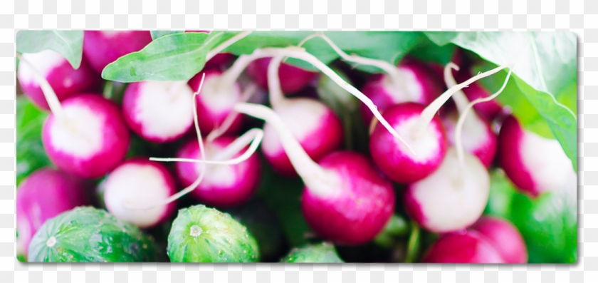 Flower Clipart #71513