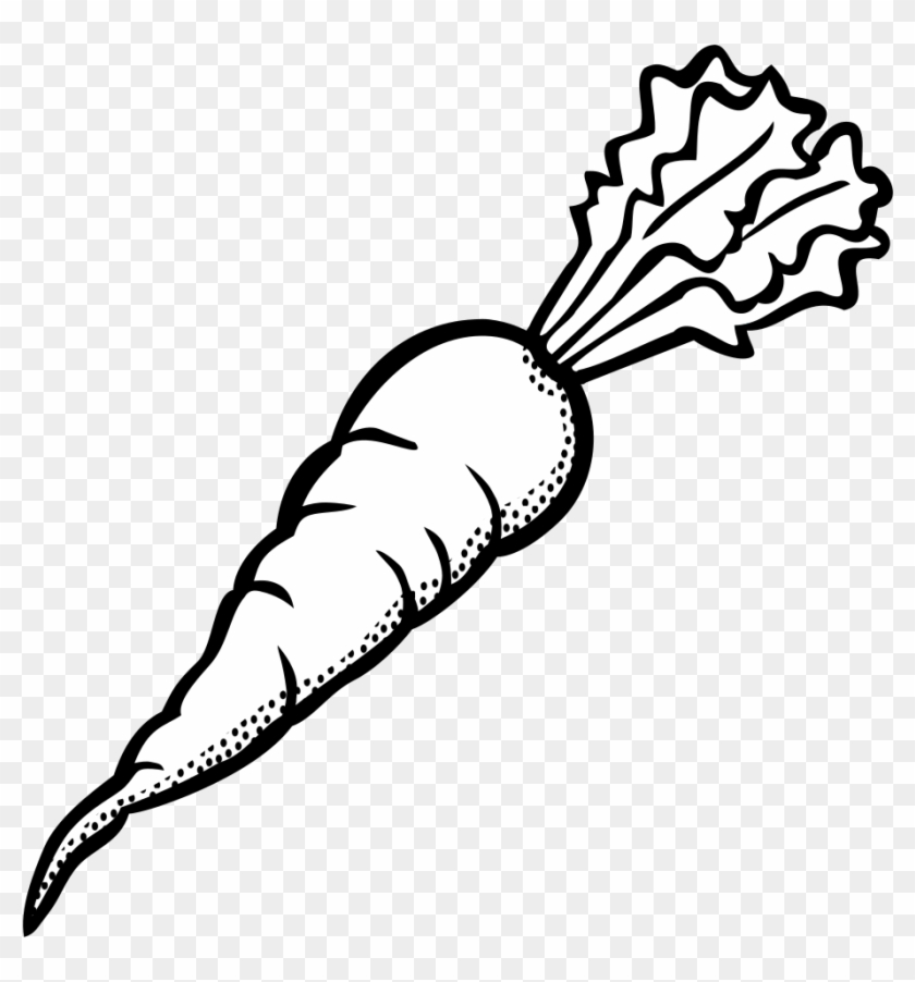Vector Free Carrot Clipart Caroot - Carrot Black And White Clip Art - Png Download