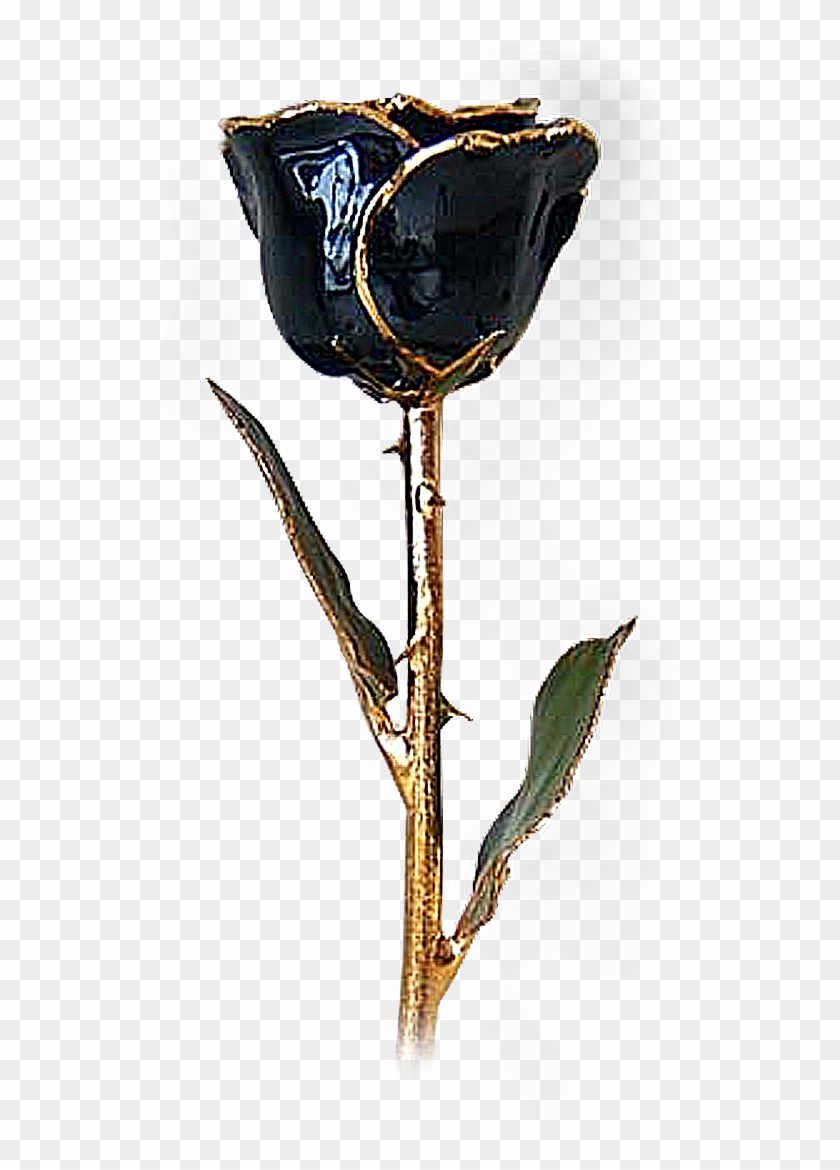 Black Rose From Night World And Vampire Diaries - Gold And Black Rose Png Clipart