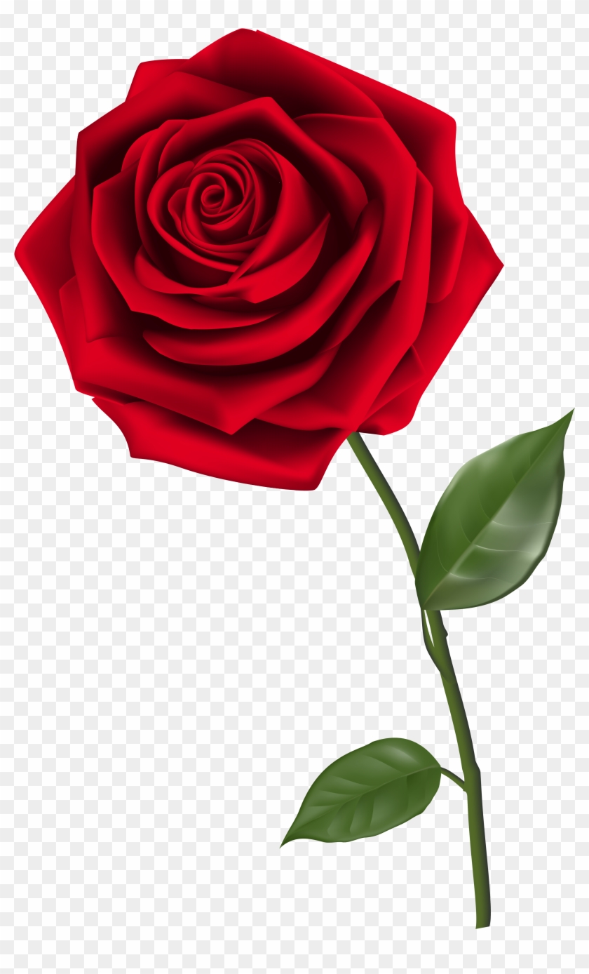 Single Red Rose Png - Rose Clipart Transparent Background