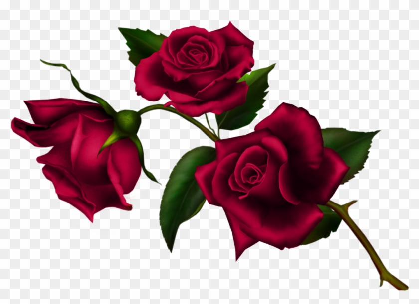 Rose Stem -1 - S Name S Status Clipart