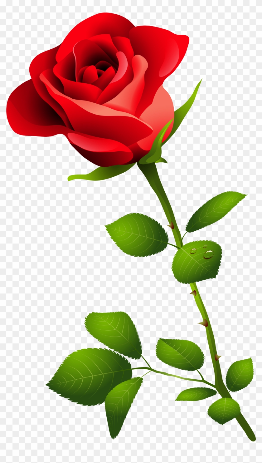 Clip Art Pink Rose - Transparent Background Rose Clipart - Png Download