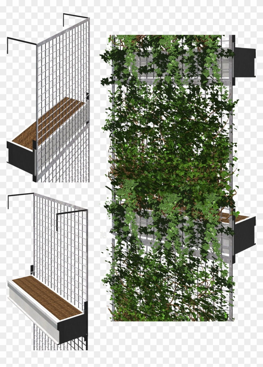 Sustainable Architecture, Facade Architecture, Green - Green Facade Detail Clipart #73446