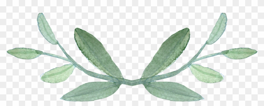 Greenery Png , Png Download Clipart #73517