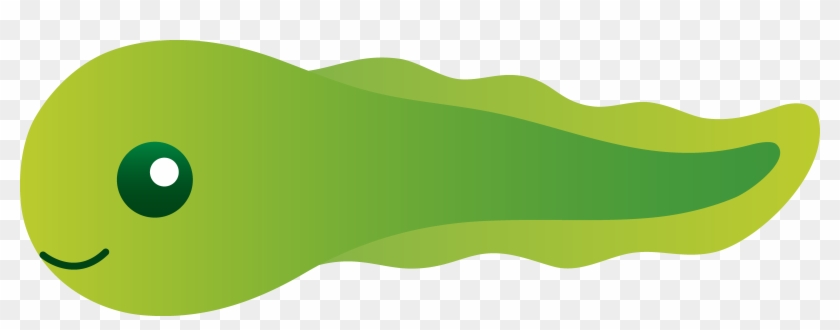 Tadpole Clipart Sad - Tadpole Clipart - Png Download