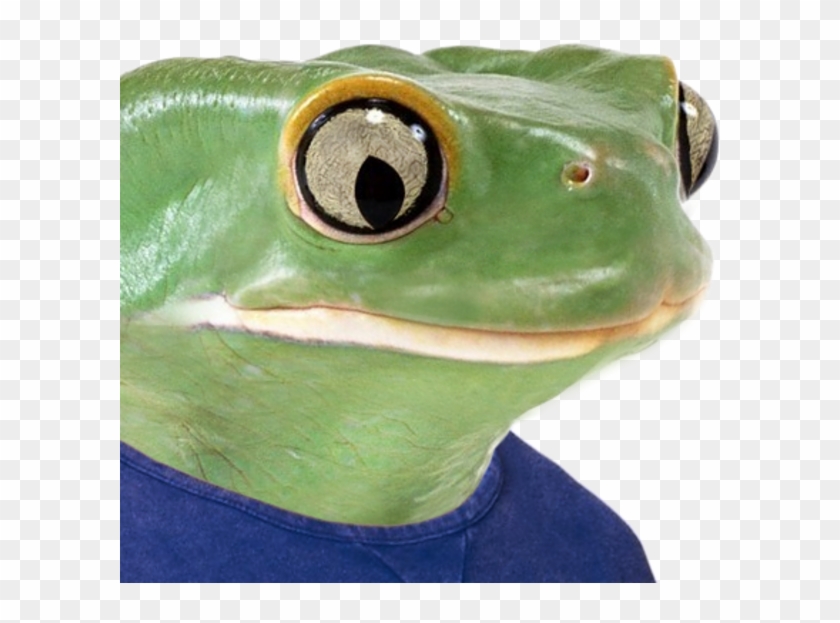 Feels Bad Man / Sad Frog - Real Life Pepe The Frog Clipart