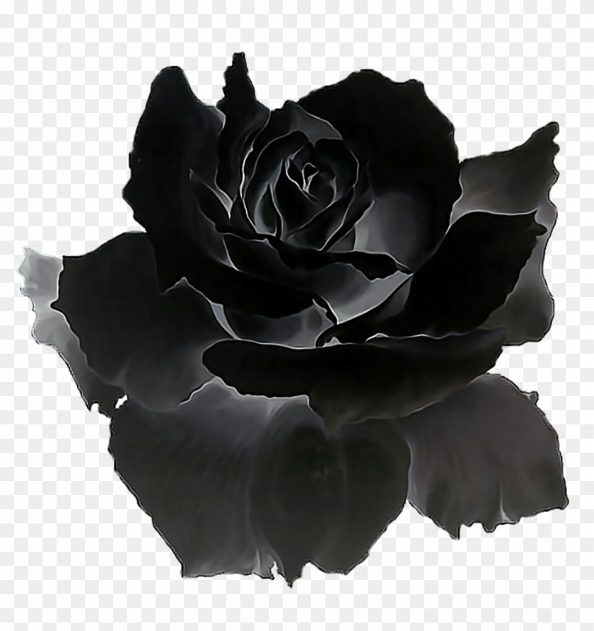Black Roses Gif Clipart #73988