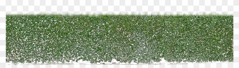 Hedges Png - Hedge Png Free Clipart