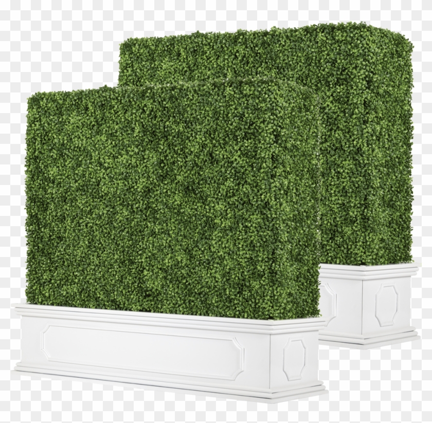 Chateau Traditional Free Standing Boxwood Hedge With - Hedge Clipart