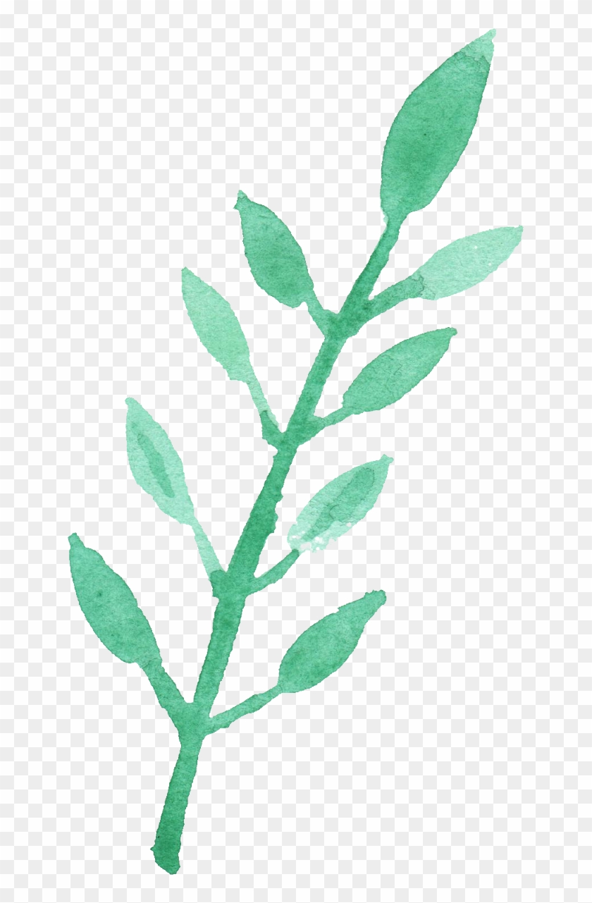 Free Download - Transparent Watercolor Leaves Png Clipart #74536