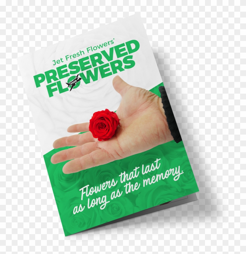 Preserved And Dried Flowers Brochure Print - Garden Roses Clipart #74651