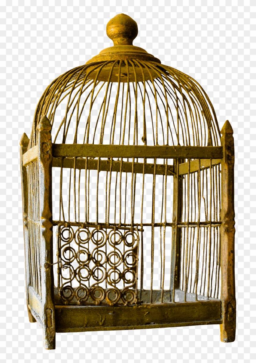 Bird Cage - Bird Cage Png With Transparent Background Clipart #74652