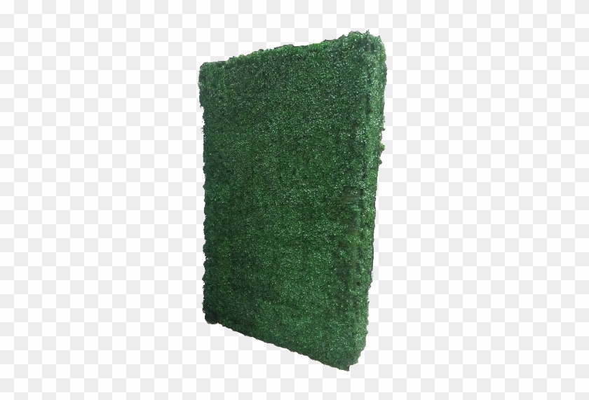 Boxwood Hedge - Wool Clipart